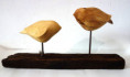 /products/ptaci-zbysek-machacek-original/